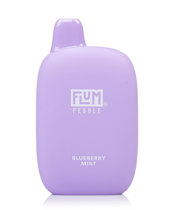 BLUEBERRY MINT FLUM PEBBLE 6000 DISPOSABLE