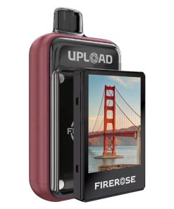 Dragon Strawnana Firerose Upload 25k