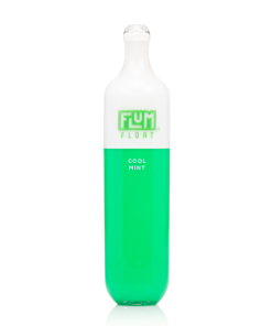 FLUM FLOAT COOL MINT