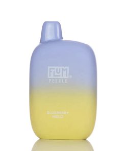 FLUM PEBBLE BLUEBERRY MELON 6000