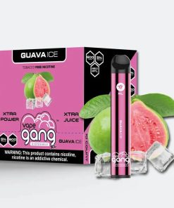 GANG XL GUAVA ICE