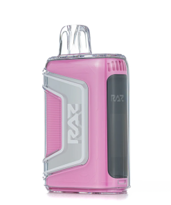 Strawberry Shortcake RAZ TN9000